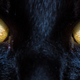 Imagen: Mooredesigns / Shutterstock